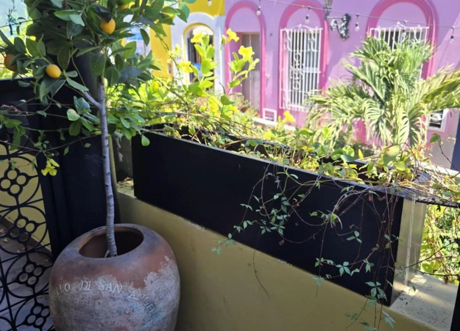 Extraordinary Location For Food And Walker'S Apartment Mazatlan